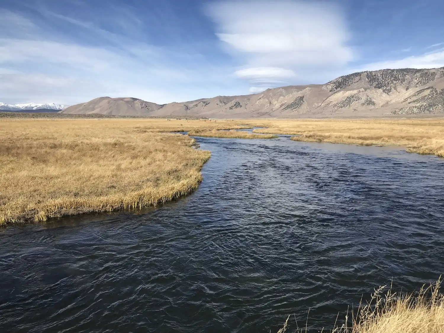 Upper Owens River Fly fishing